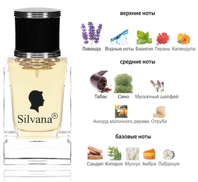  Silvana Silvana M850 DG Intenso Pour Homme 50  ()