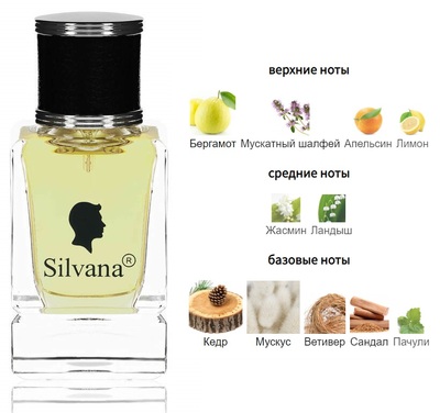  Silvana Silvana M857 Shaik Chic Shaik 70 Men 50  ()
