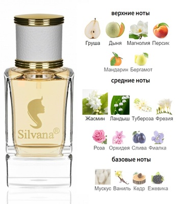  Silvana Silvana W307 Dior J'adore 50 