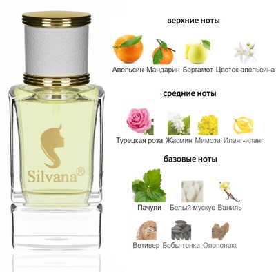  Silvana Silvana W319 Chanel Coco Mademoiselle 50  ()