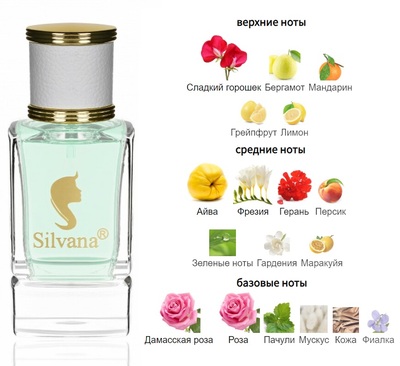  Silvana Silvana W333 Burberry My Burberry Women 50  ()