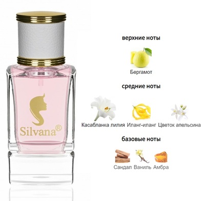  Silvana Silvana W336 Gucci Gucci Bamboo 50  ()