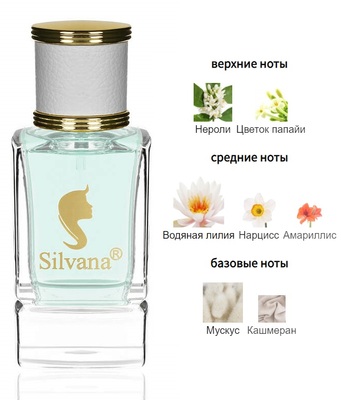  Silvana Silvana W346 DG Dolcce 50  ()