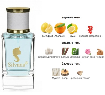  Silvana Silvana W355 Moschino Cheap and Chic I Love Love 50  ()