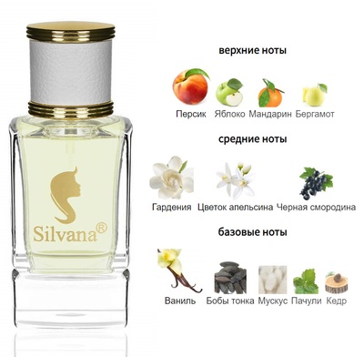 Silvana Silvana W374 Antonio Banderas Her Golden Secret 50  ()