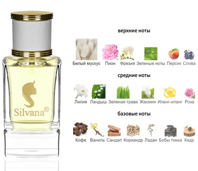  Silvana Silvana W376 Cacharel Noa 50  ()