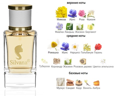  Silvana Silvana W383 Cerruti 1881 50  ()