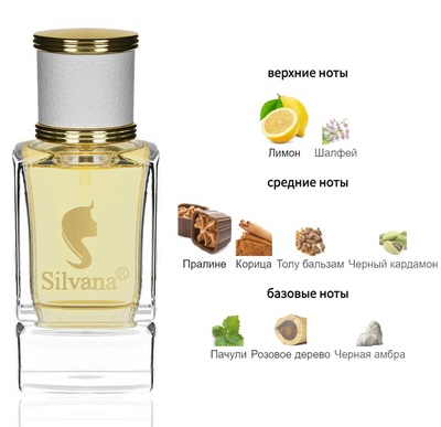  Silvana Silvana W407 Paco Rabanne Black XS 50  ()