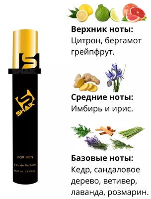  Shaik SHAIK /    277 Chanel Allure Homme Sport Cologne 20  ()