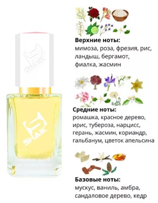  Shaik SHAIK /    196 Cerruti 1881 pour Femme, 50 . ()