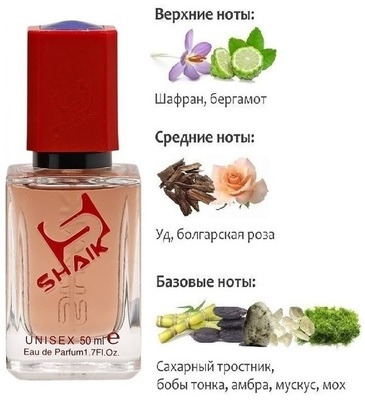  Shaik SHAIK /   481 Montale Arabians Tonka, 50 . ()