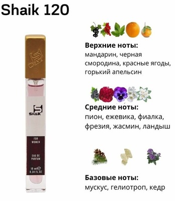  Shaik SHAIK /    120 Gucci Eau de Parfum II 10  ()