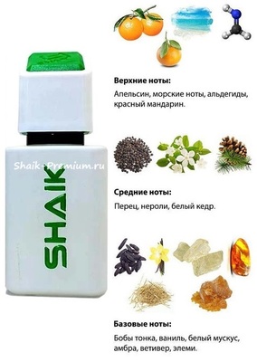  Shaik SHAIK /    881 DON'T STOP US Chanel Allure Homme Sport, 50 . ()