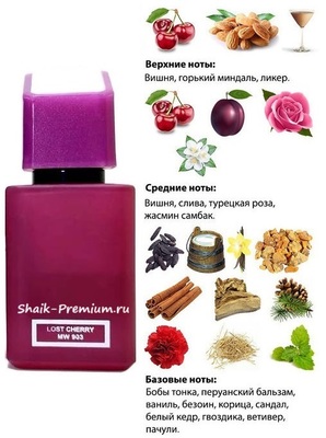  Shaik SHAIK /    903 DON'T STOP LOST CHERRY Lost Cherry Tom Ford 50  ()