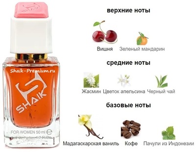  Shaik SHAIK /    480 Yves Saint Laurent Black Opium Over Red, 50 . ()