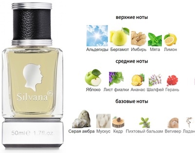  Silvana Silvana 882 Yves Saint Laurent Y 50  ()