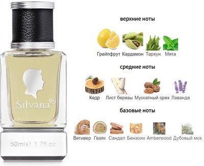  Silvana Silvana 889 Mr. Burberry Burberry 50  ()