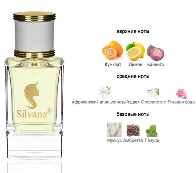  Silvana Silvana W441 Versace Versus 50  ()