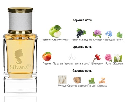  Silvana Silvana W452 Versace Pour Femme Dylan Blue Versace 50  ()