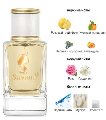  Silvana Silvana W455 Bella Baldessarini 50  ()