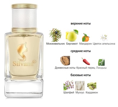  Silvana Silvana W481 Angel Schlesser Femme Angel Schlesser 50  ()