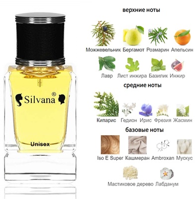 Silvana Silvana U134 Esc Mol Esc 05 50  ()