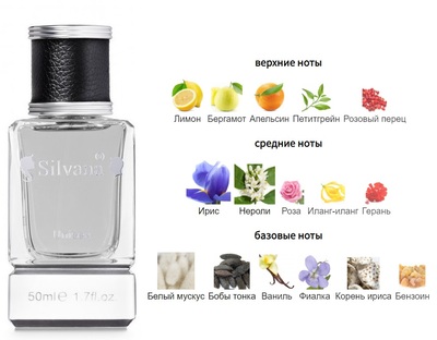  Silvana Silvana U165 Paris Venise Chanel 50  ()