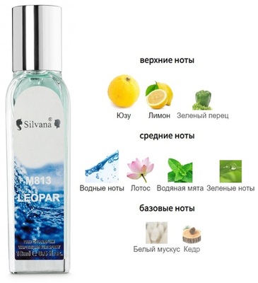  Silvana Silvana M813 Kenzo L'Eau Par Pour Homme 18  ()