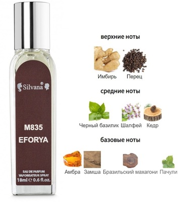  Silvana Silvana M835 Calvin Klein Euphoria Men 18  ()