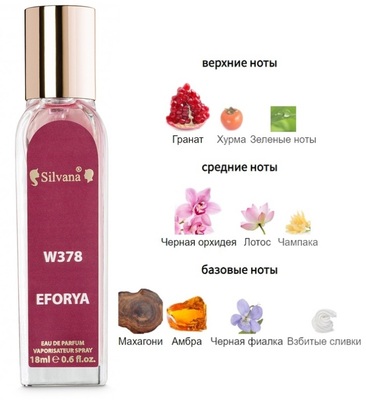  Silvana Silvana W378 Calvin Klein Euphoria Women 18  ()