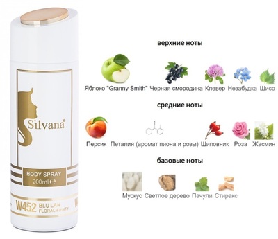  Silvana Silvana /   Silvana W452 Versace Pour Femme Dylan Blue Versace 200  ()