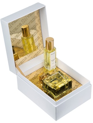  Silvana Silvana W305 Chanel Chance Eau Tendre Women ( WN07 Confidential ) 100  + 30  ()