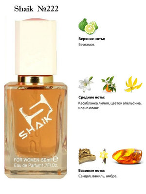 Shaik SHAIK /    222 Gucci Bamboo, 50 . ()