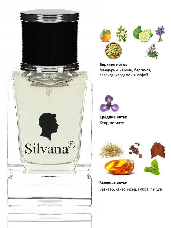 Silvana Silvana M860 Dior Homme Cologne Men 50