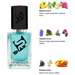  Shaik SHAIK /    79 Versace Versace Pour Homme, 50 .