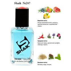  Shaik SHAIK /    247 DG King 100 .