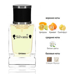  Silvana Silvana U112 Montale Soleil de Capri 50 