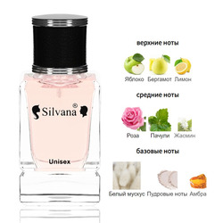  Silvana Silvana U113 Montale Starry Night 50 