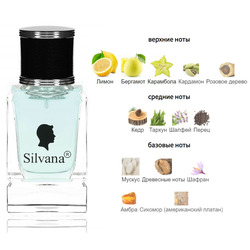  Silvana Silvana M810 Versace Eau Fraiche Man 50 