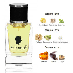  Silvana Silvana M825 DG The One For Men 50 
