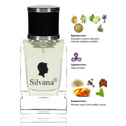  Silvana Silvana M860 Dior Homme Cologne Men 50 