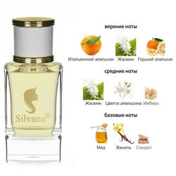  Silvana Silvana W320 Giorgio Armani Code Women 50 