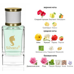  Silvana Silvana W333 Burberry My Burberry Women 50 