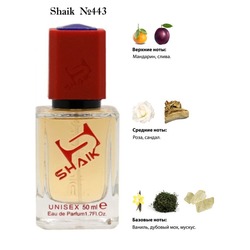  Shaik SHAIK /    443 Aj Arabia No 2., 50 .