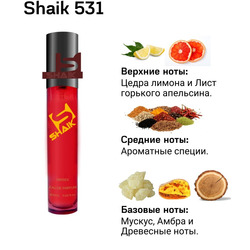  Shaik SHAIK /    531 (THOMAS KOSMALA No 4) 20 .