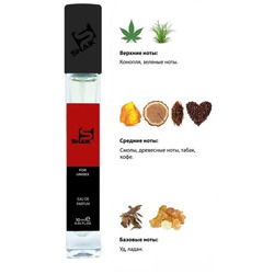  Shaik SHAIK /   236 NASOMATTO BLACK AFGANO 10 