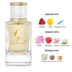  Silvana Silvana W482 Bright Crystal Absolu Versace 50 