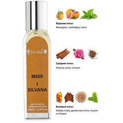 Silvana Silvana 809 Paco Rabanne 1 Million 18 