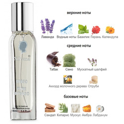  Silvana M850 DG Intenso Pour Homme 18 