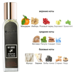  Silvana Silvana 880 Creed Aventus Cologne 18 